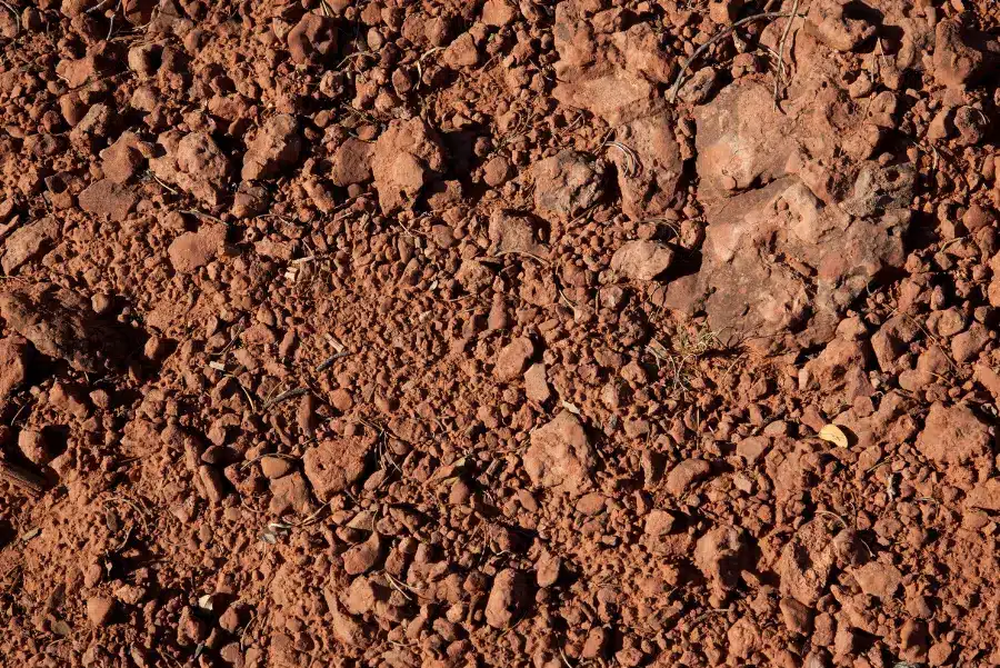 Fill Dirt