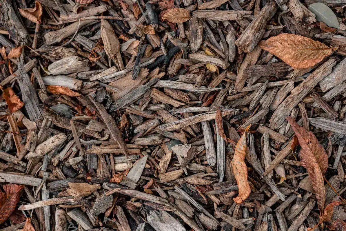 Products 8 Leaf Mold Mulch