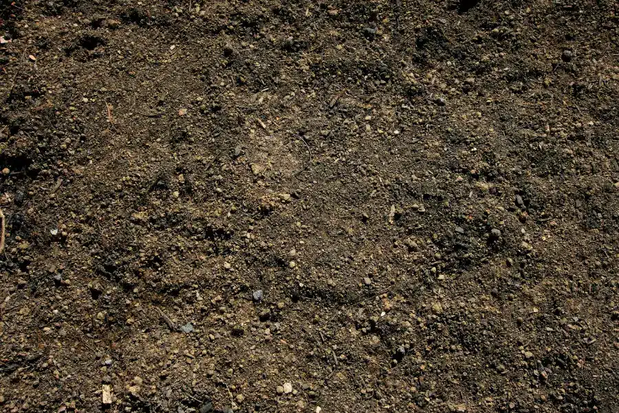 Screened Topsoil