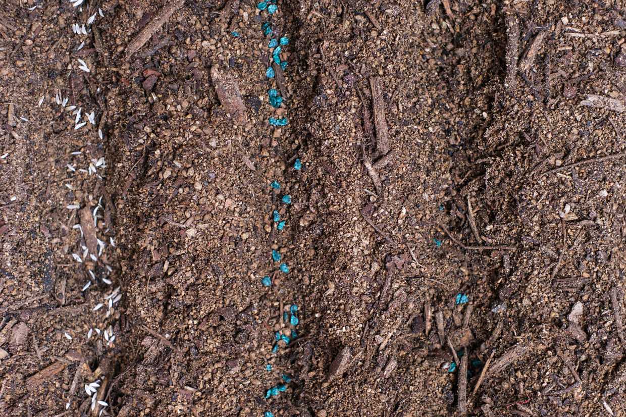 Bedding Soil