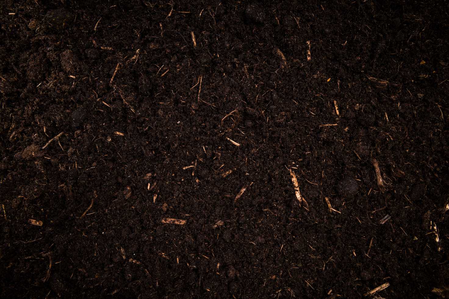 Compost
