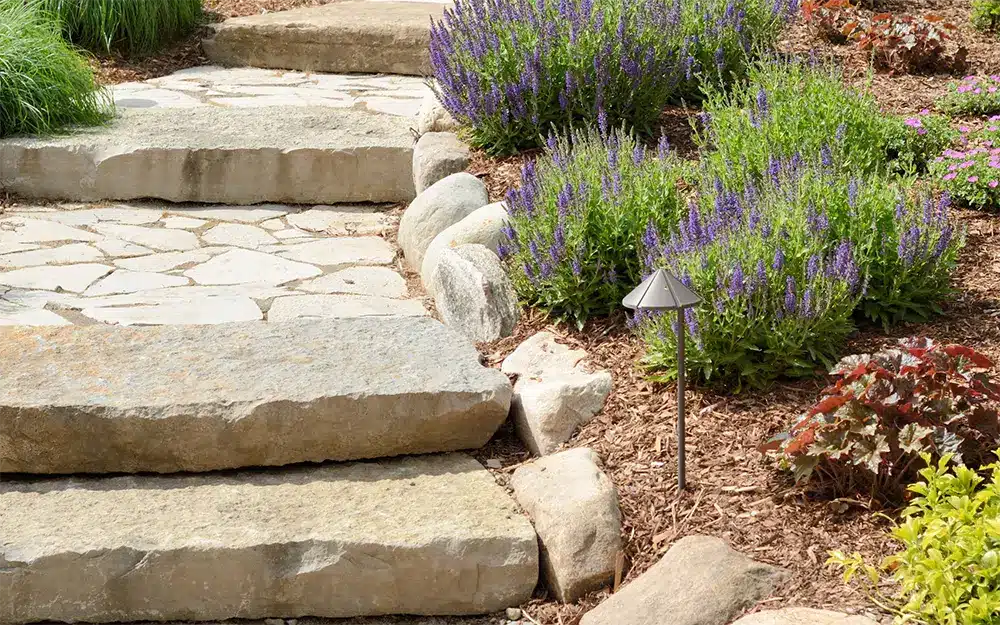 Sustainable Landscaping Rocks: How to Build the Best Eco-Friendly Landscape