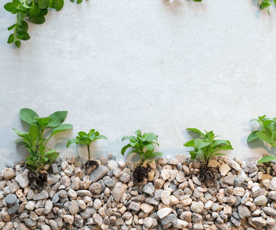 The Complete Guide to Choosing the Best Gravel Products for Your Landscape 20 Gravel Products