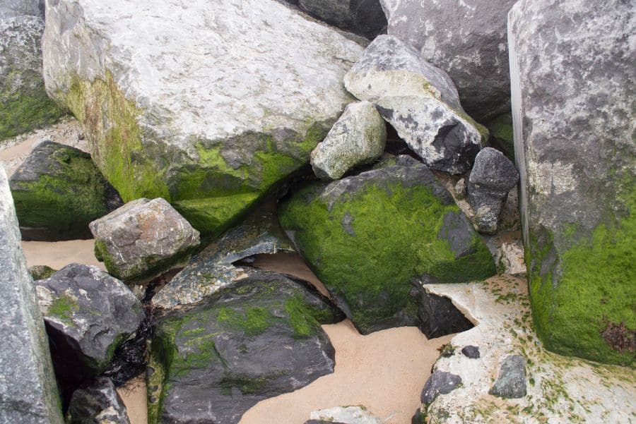 Moss Boulders images 6