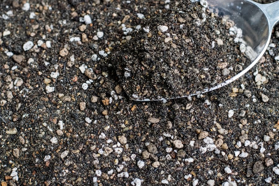 Sand images 12