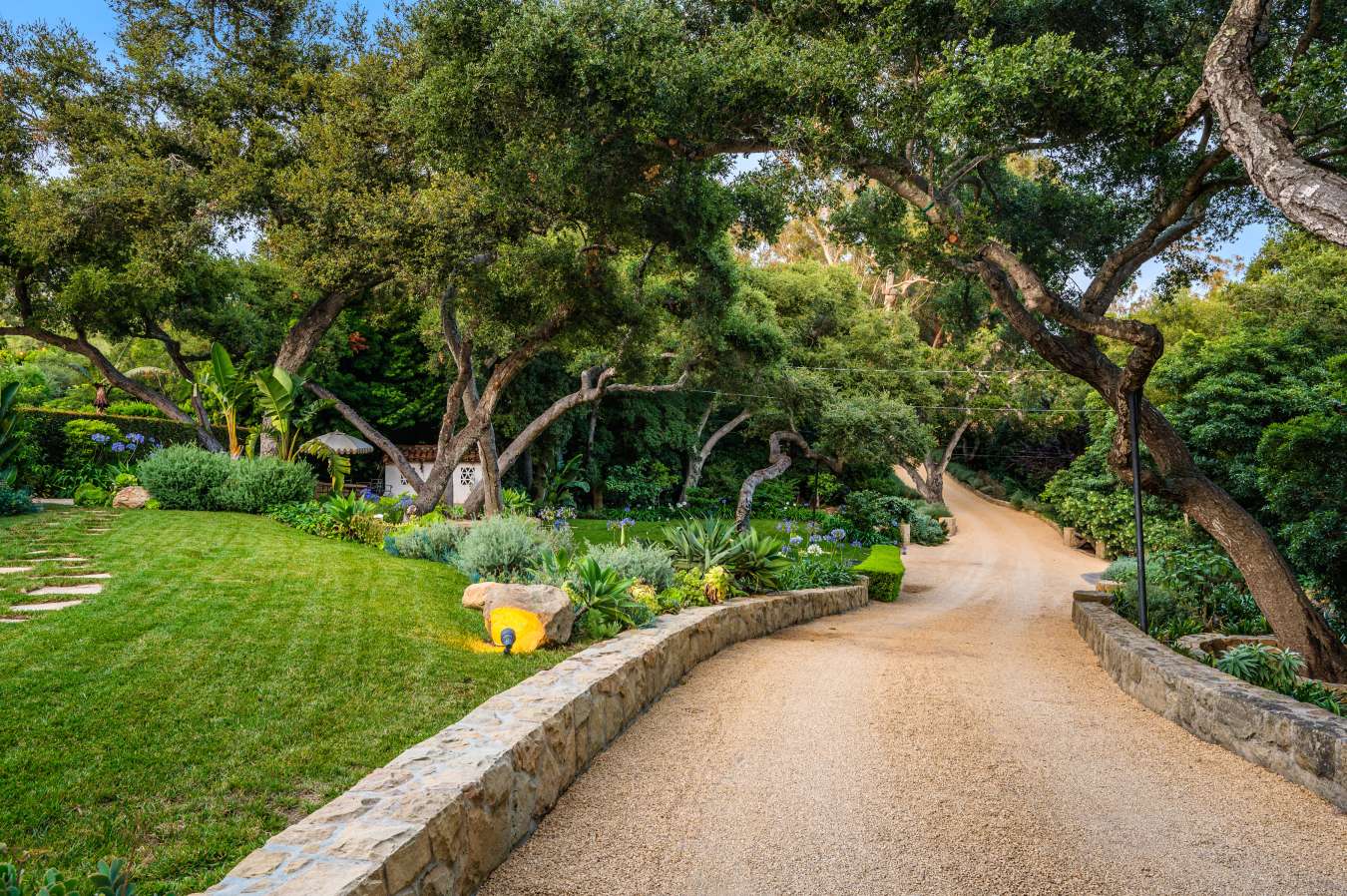 a winding driveway and some trees with grass and p 2025 02 11 18 47 51 utc 1