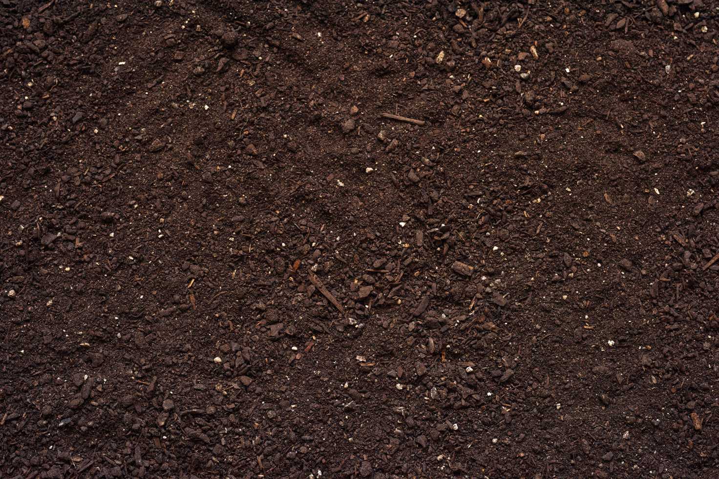 Top Soil
