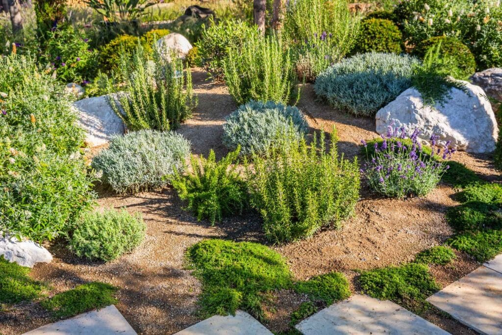 Landscape Design