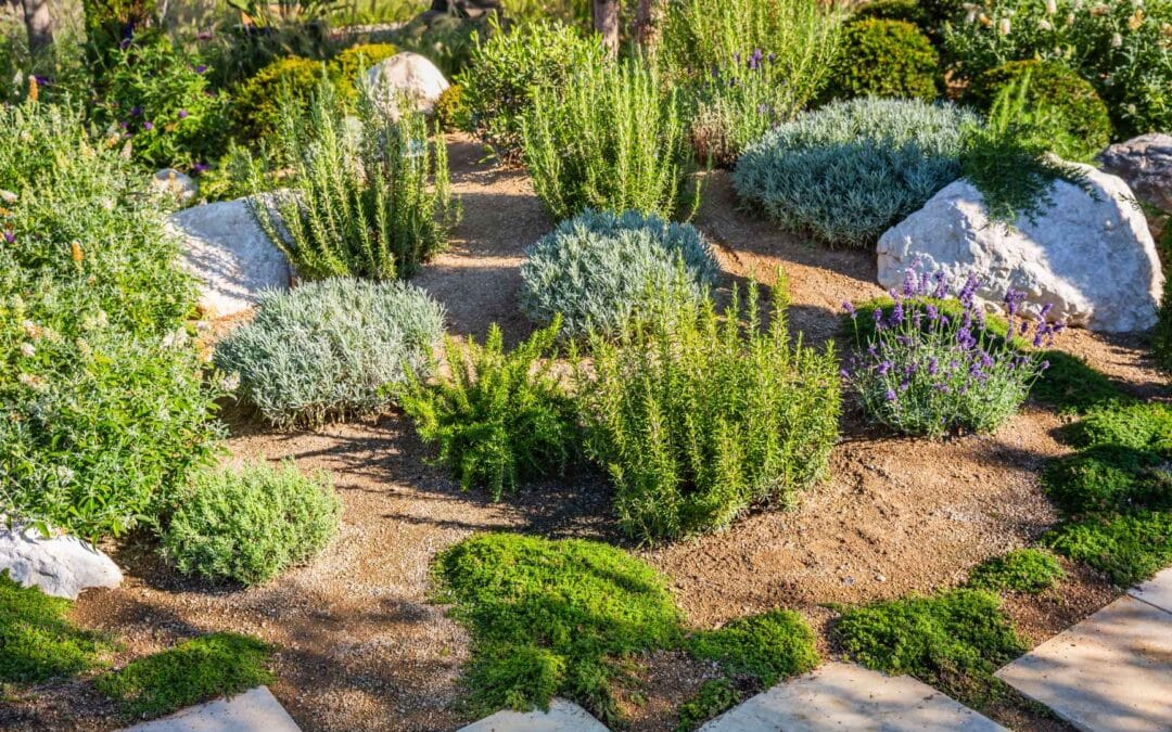 The Sustainability of Landscaping Stones: A Guide to Eco-Friendly Stone Design