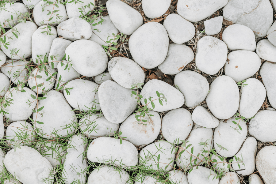 jbs image tumbled white pebble 5