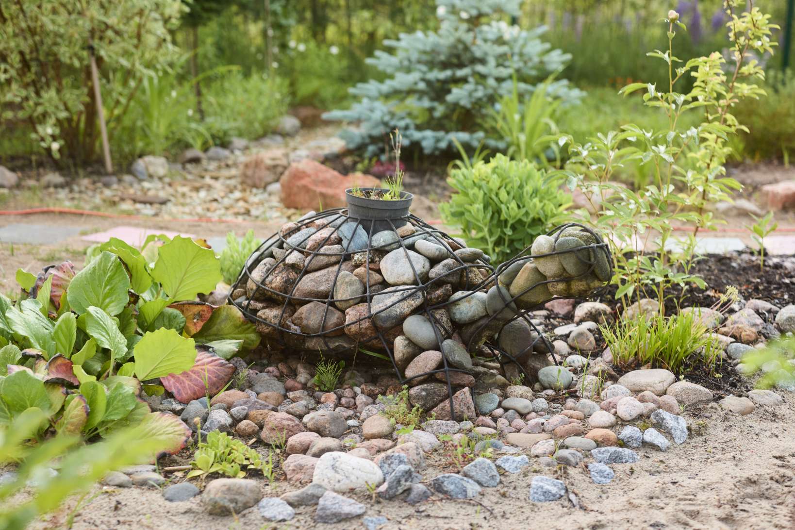 stunning artistic garden sculpture of a turtle mad 2025 04 03 20 22 44 utc 1