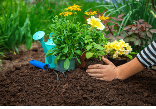 top soil4