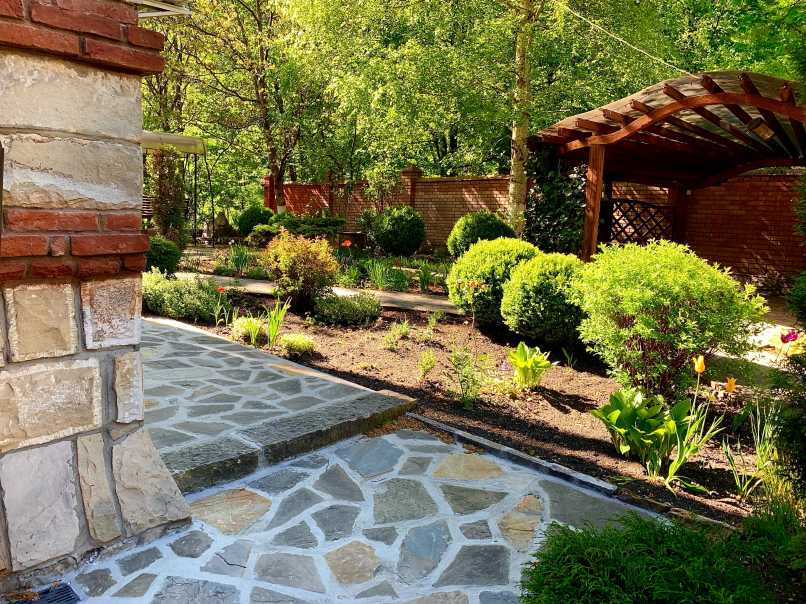 private house shrubs