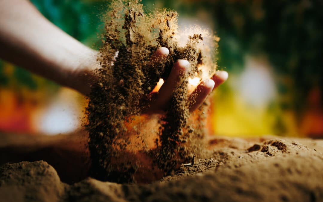 Nutrient-Rich Topsoil Guide: Build a Healthy North Texas Lawn and Garden