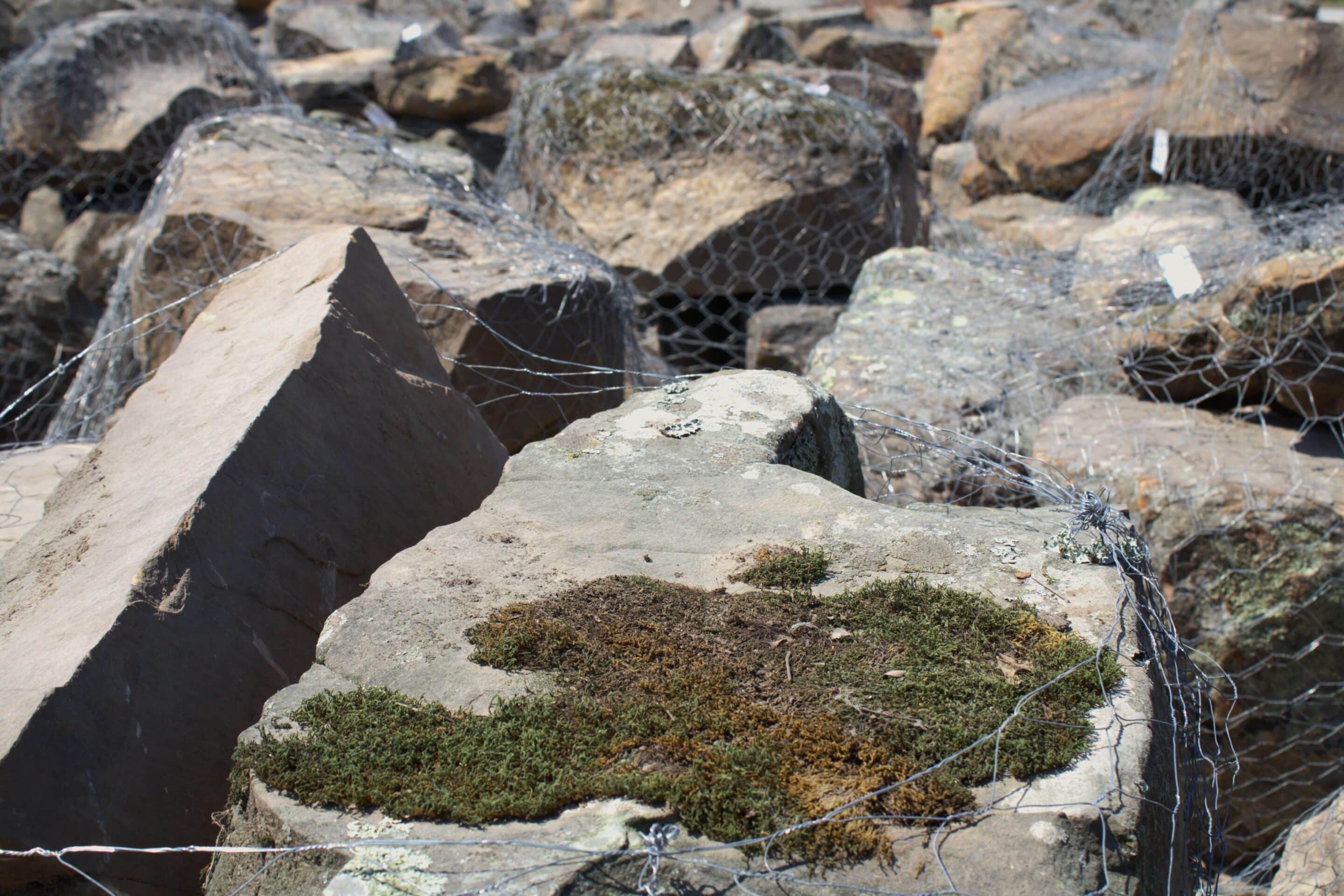 Moss Boulders scaled