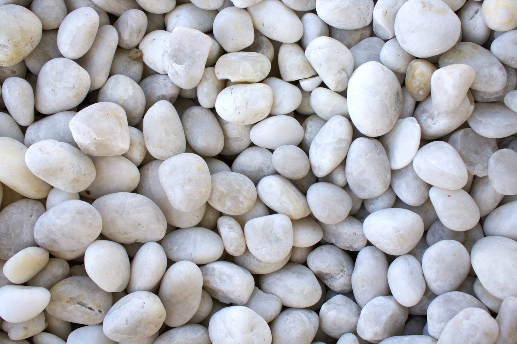 Pebbles 7 Polished White Pebbles 1