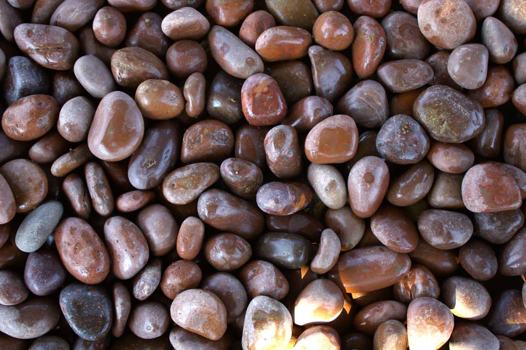 Pebbles 6 Red Polished Pebbles 1