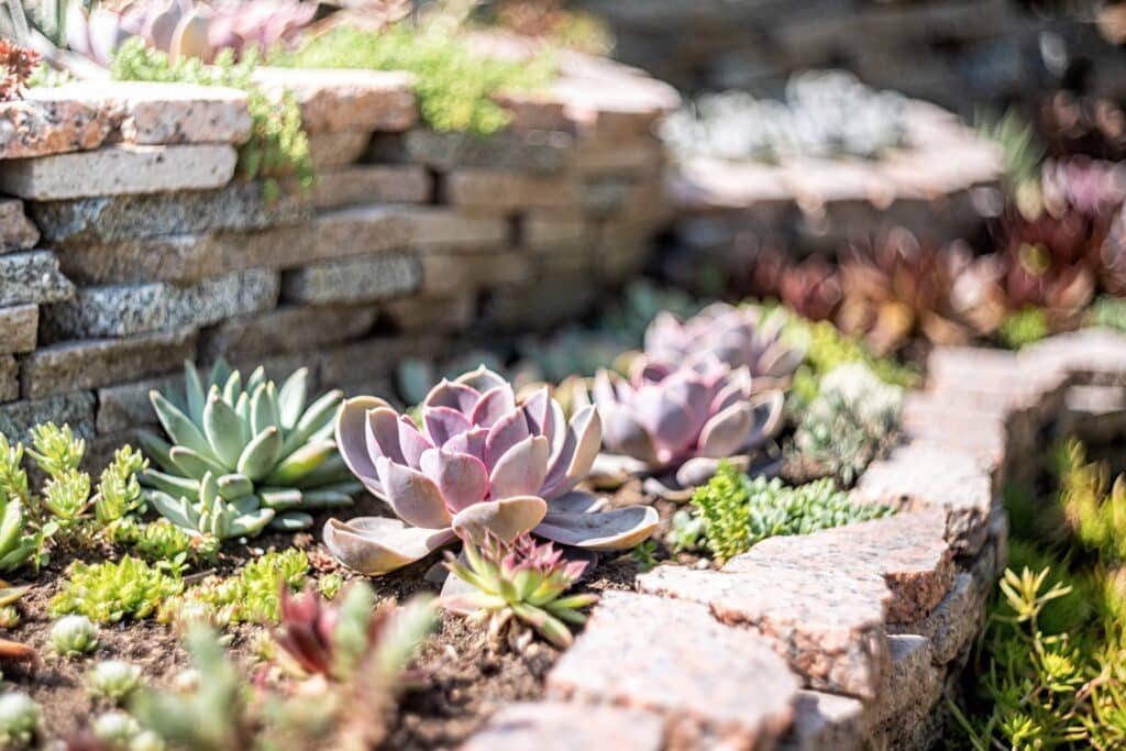 Landscaping