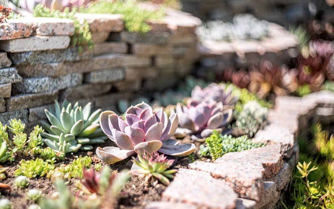 What Kind of Stone Is Used For Landscaping?