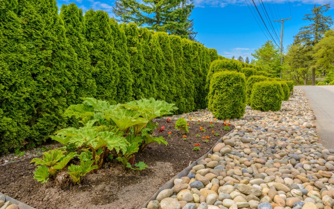 How To Install Decorative Rock Landscaping?