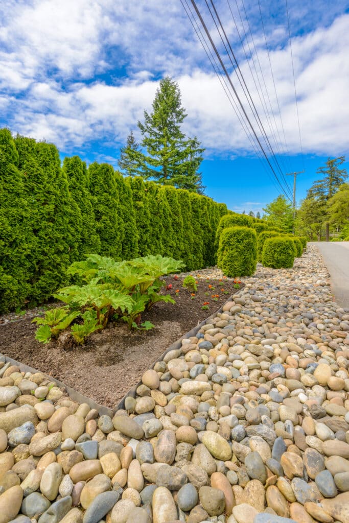 Landscaping Rock