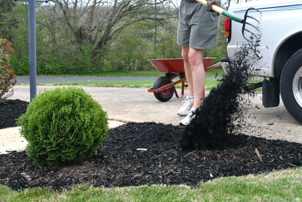 Mulch in Garden