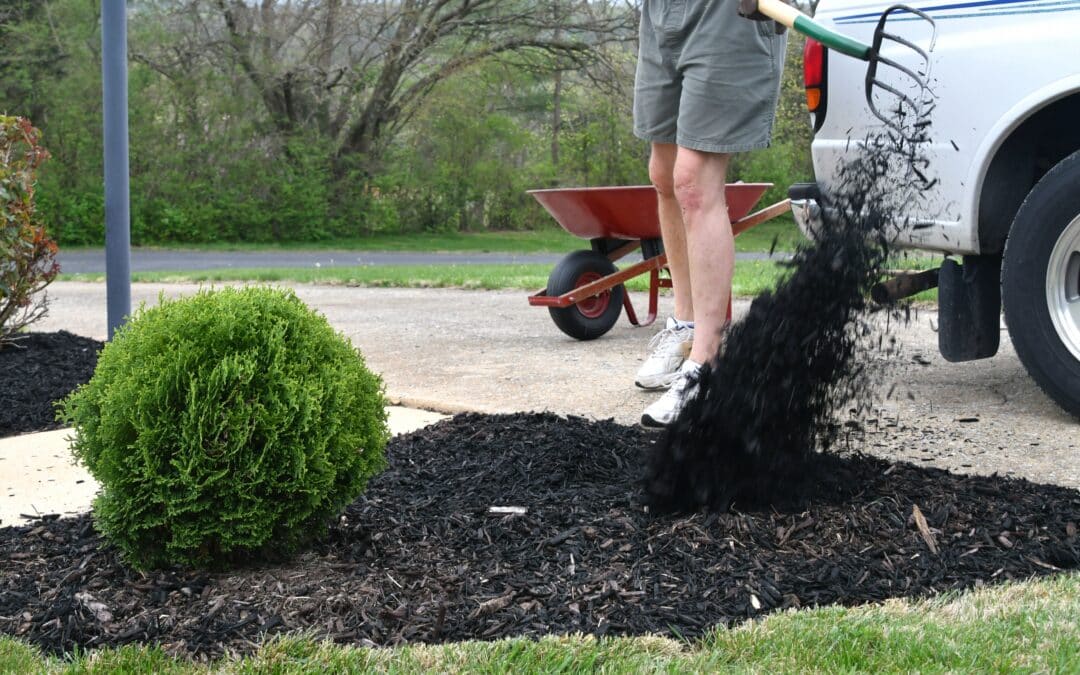 How to Choose the Right Mulch for Your Yard?