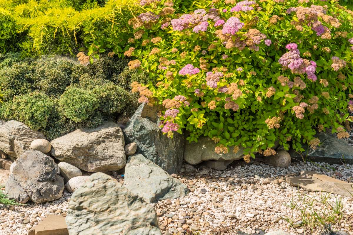 Moss Boulders 3 element of landscape design rockeries with mount 2026 03 26 07 37 17 utc 1