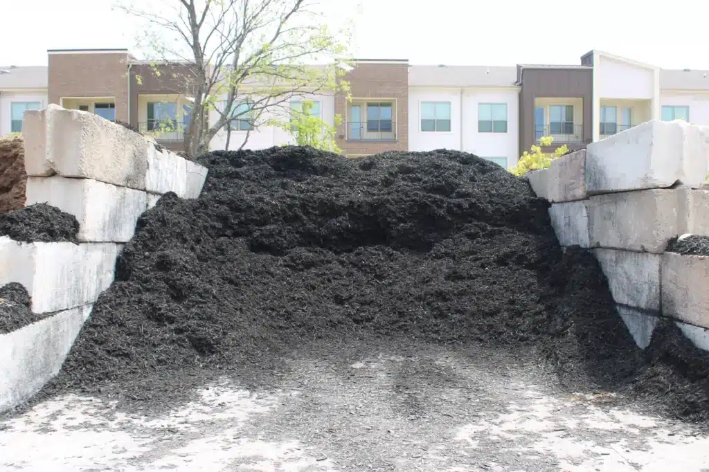 Black Mulch