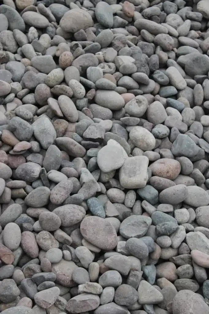 Arizona