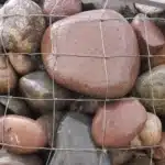 Arizona