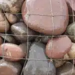 Arizona