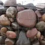 Arizona
