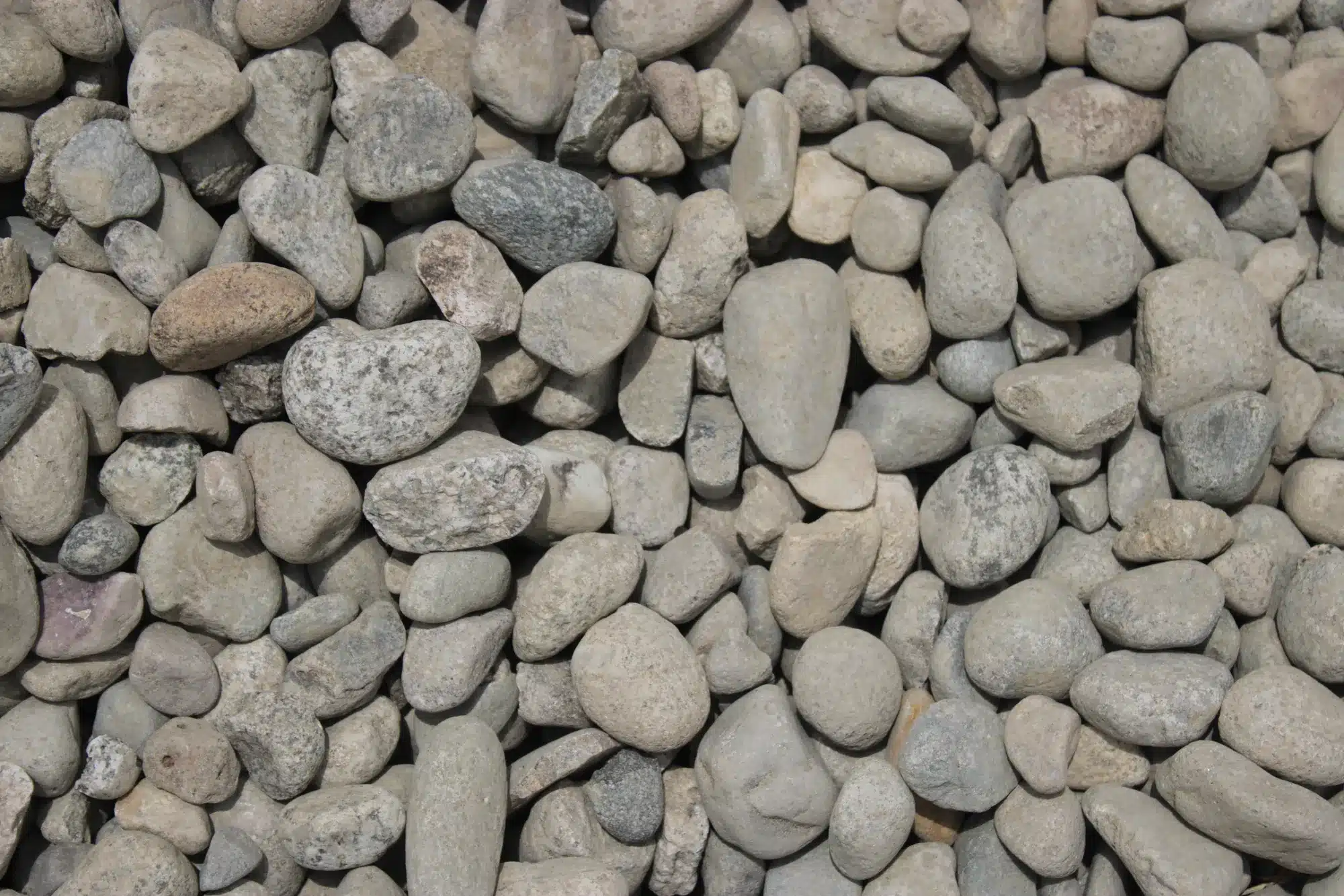 Gravel Colors for Landscaping: Dark, Light, and Mixed Decorative Gravel 3 Mixed tan and gray decorative gravel showing natural color variation