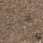 Compost