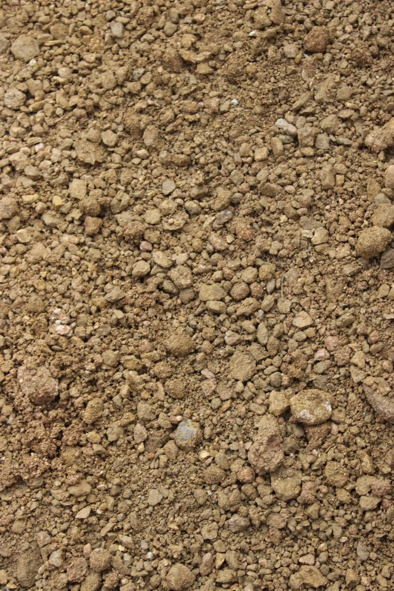Decomposed granite at JBS Express McKinney for paths and xeriscape beds