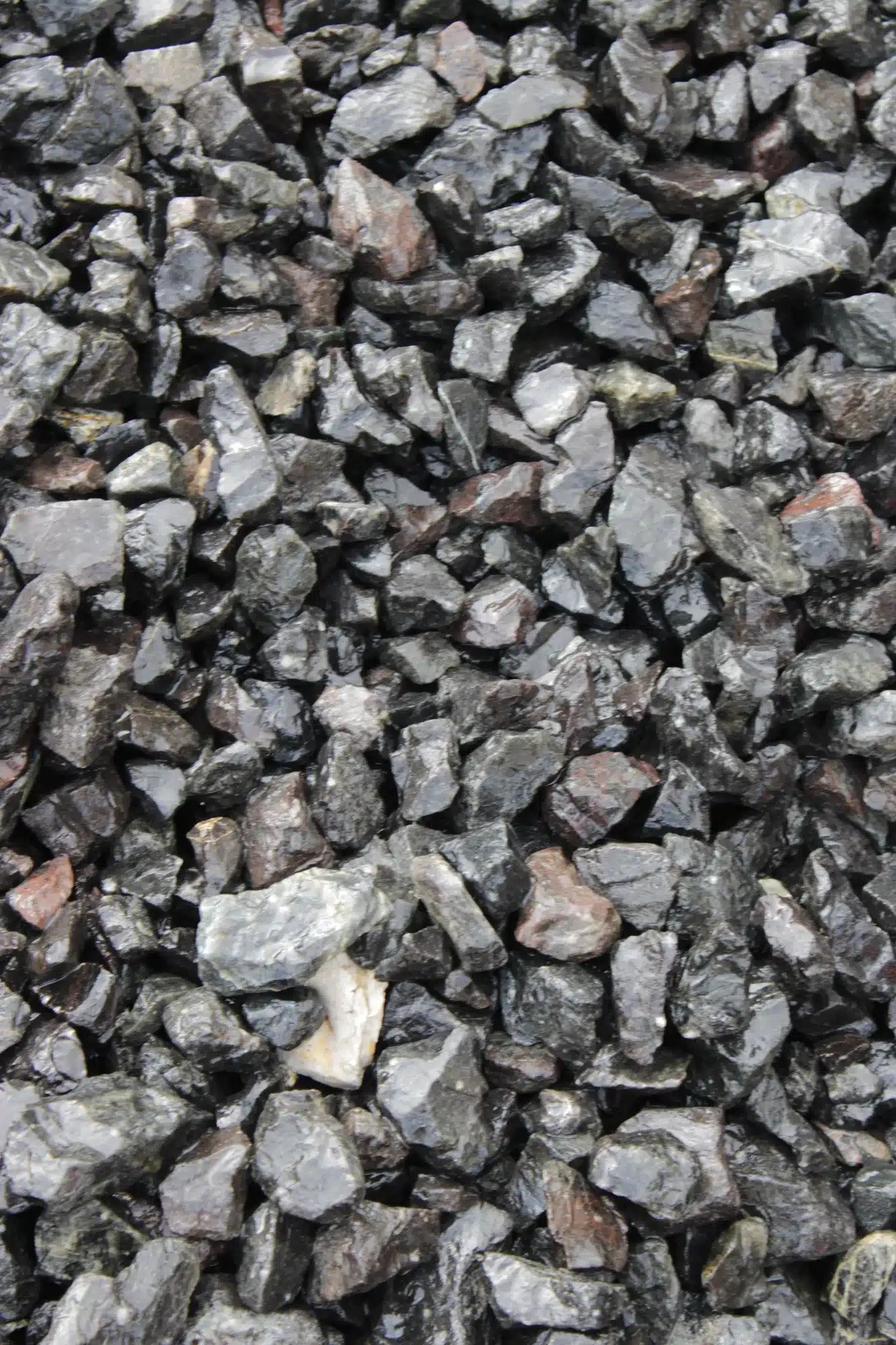 Gravel Colors for Landscaping: Dark, Light, and Mixed Decorative Gravel 2 Dark decorative gravel used as a landscape groundcover