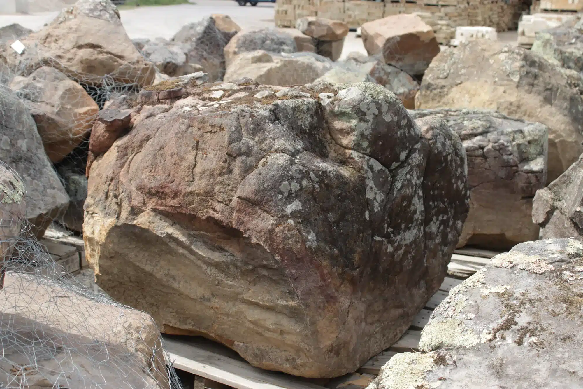 Close-up of moss rock texture and color variation