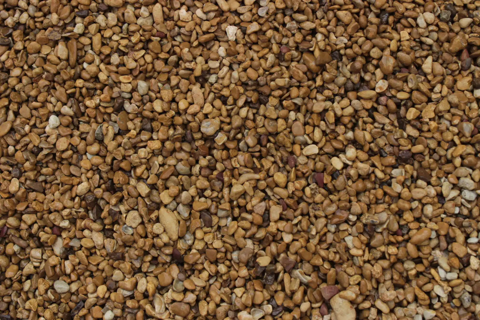 Types of Landscaping Rocks: Flagstone, Gravel, River Rock, and More 2 Pea gravel used as a landscaping rock for paths and beds